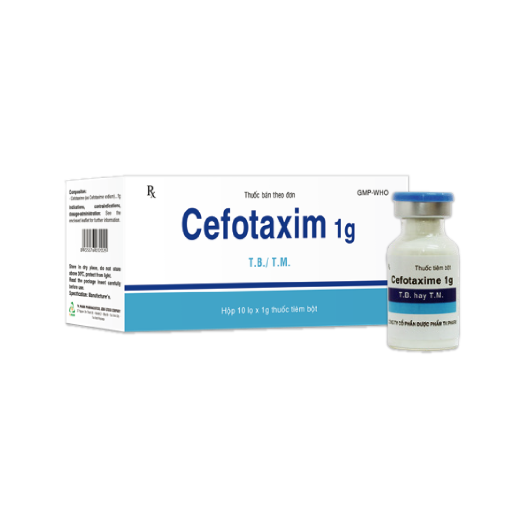 Thuốc bột pha tiêm Cefotaxime 1g H/10 lọ