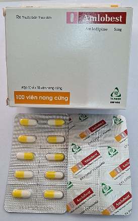 Viên nang cứng Amlobest V/10, H/100