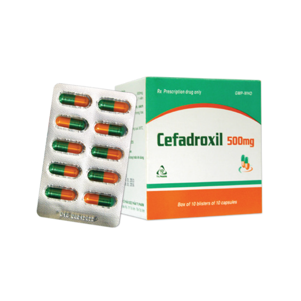 Viên nang cứng Cefadroxil 500mg V/10,H/100 (XL-Cam)
