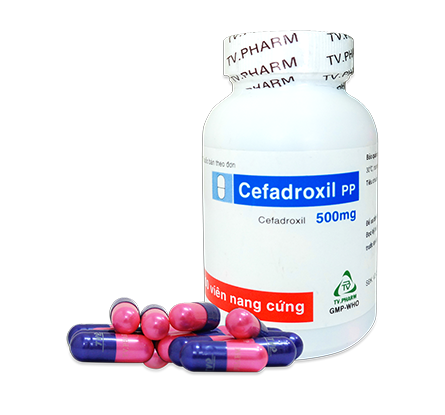 Viên nang cứng Cefadroxil PP 500mg, C/100 tròn